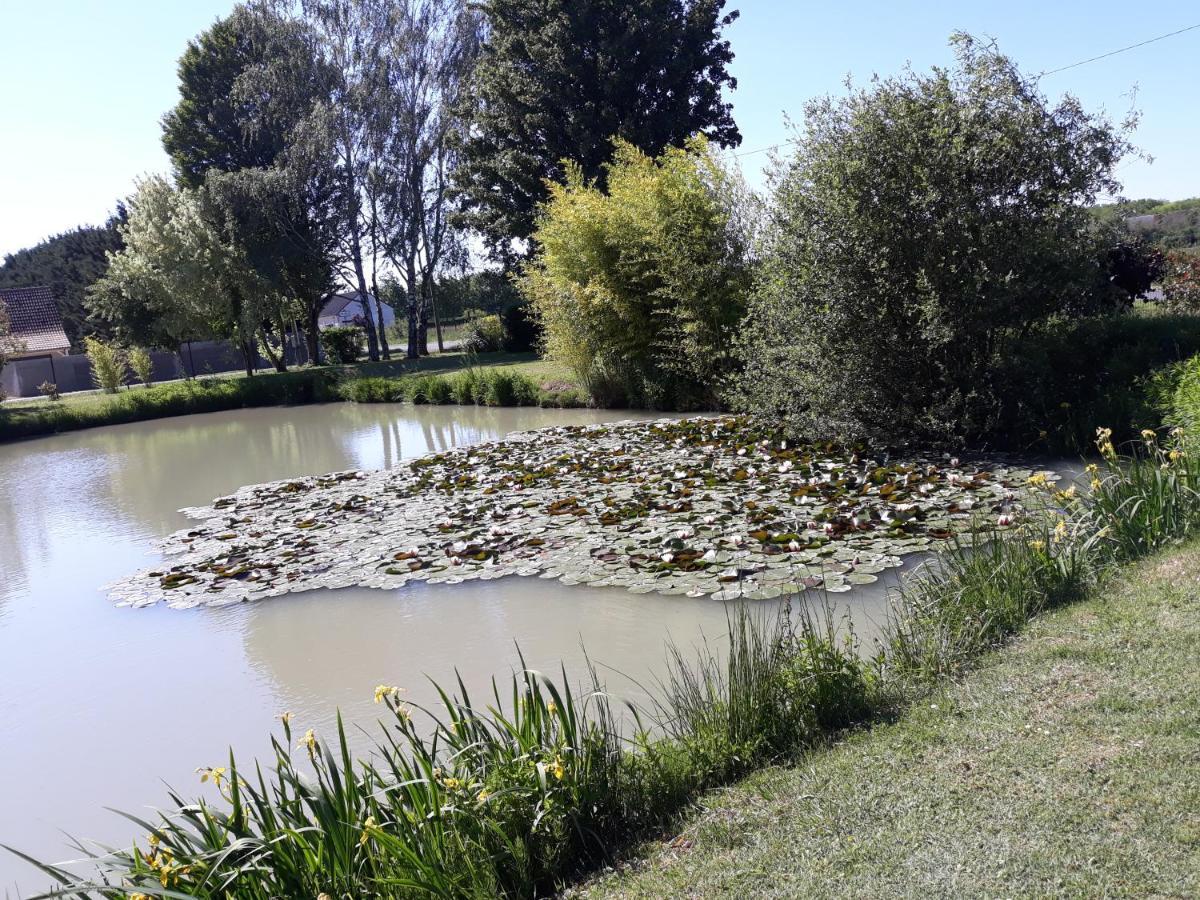 Les Roseaux A La Campagne Au Centre Des Chateaux De La Loire Bed & Breakfast Feings  Exterior photo