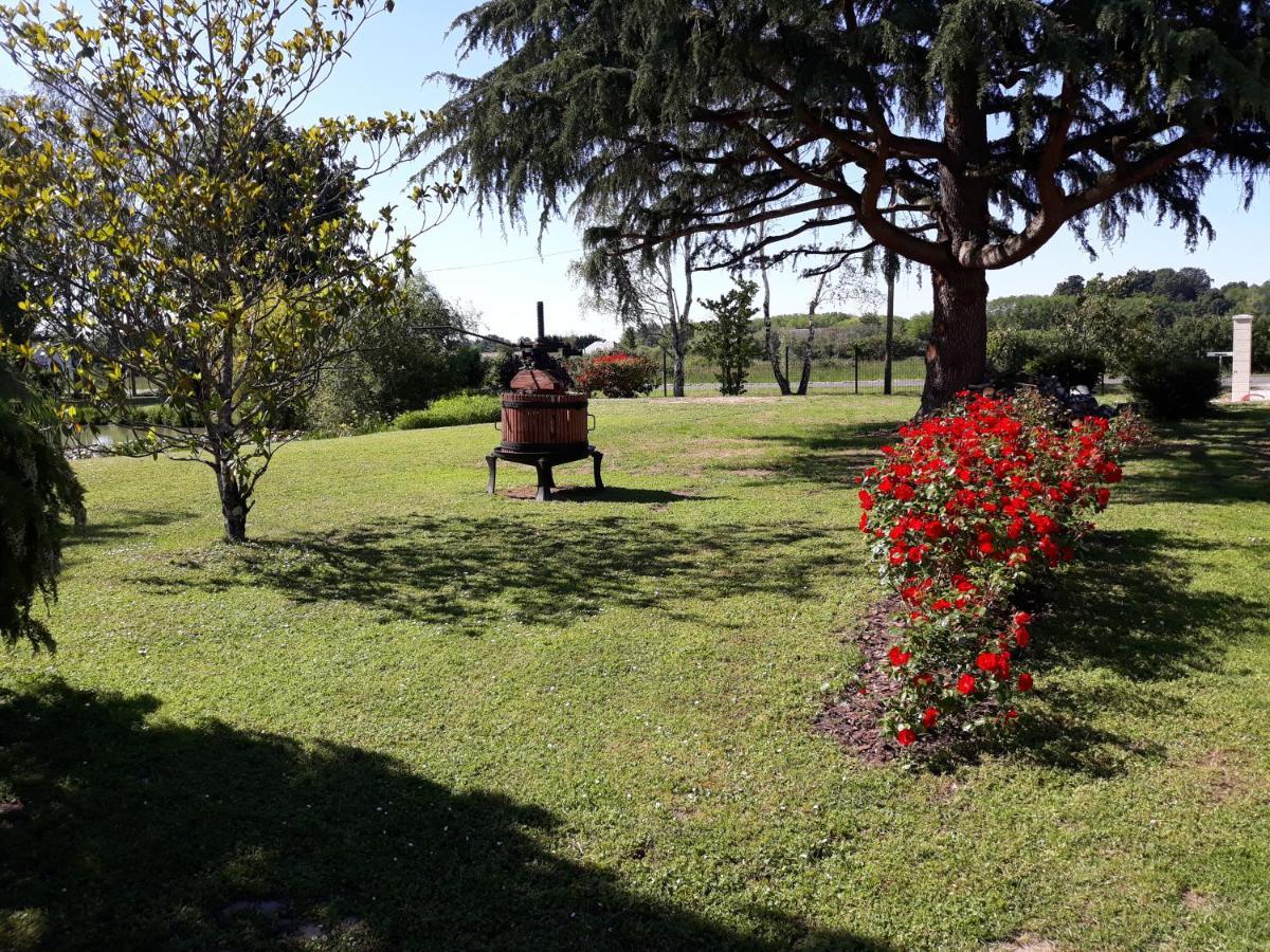 Les Roseaux A La Campagne Au Centre Des Chateaux De La Loire Bed & Breakfast Feings  Exterior photo