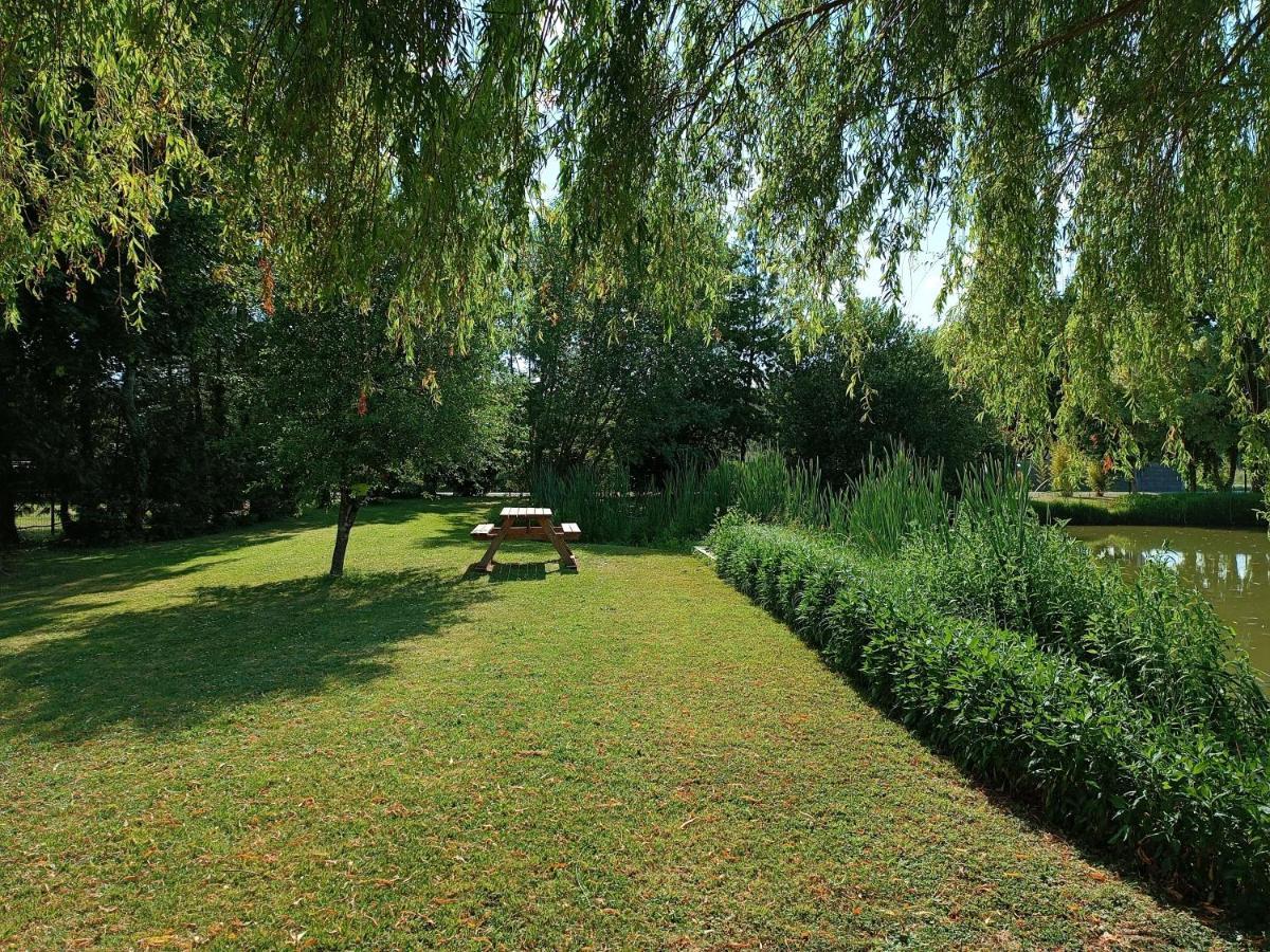 Les Roseaux A La Campagne Au Centre Des Chateaux De La Loire Bed & Breakfast Feings  Exterior photo