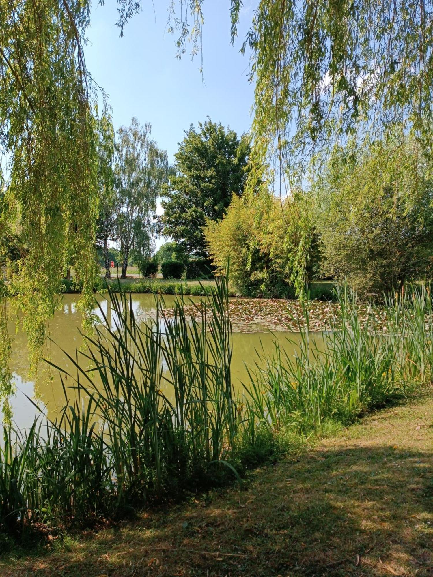 Les Roseaux A La Campagne Au Centre Des Chateaux De La Loire Bed & Breakfast Feings  Exterior photo